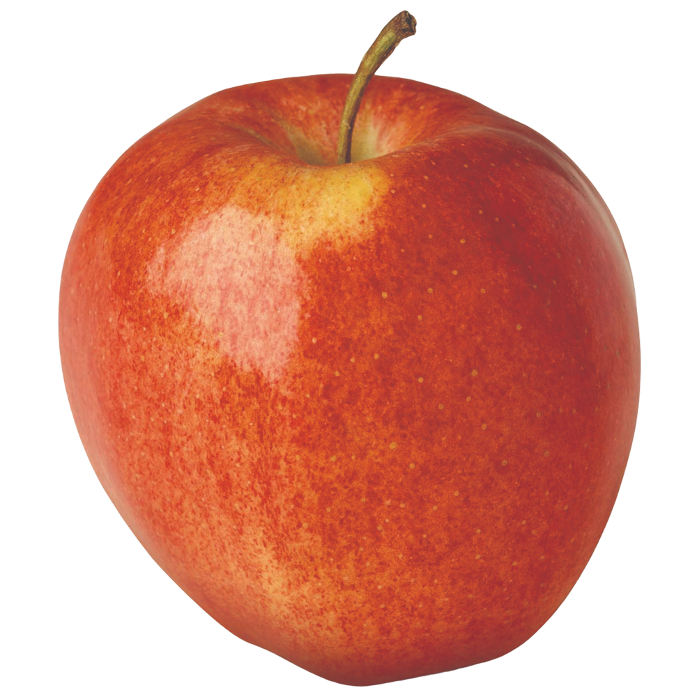 American Apple Varieties and Characteristics - Alphabetical Listing