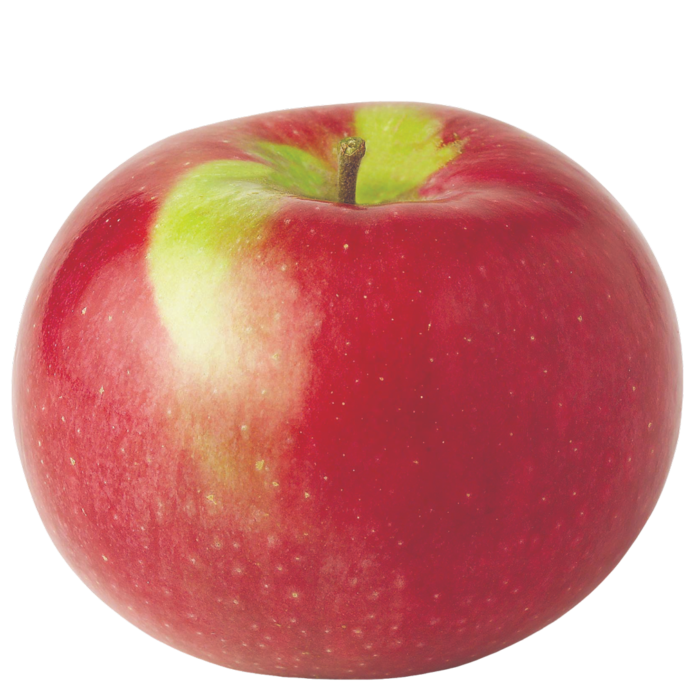 Different Types of Apples (with Photos!)