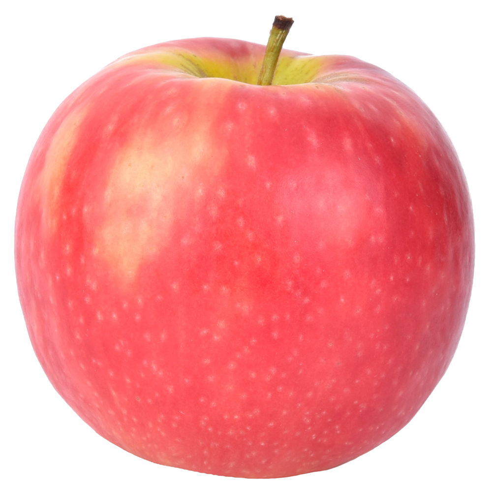 apple-pink-lady.png